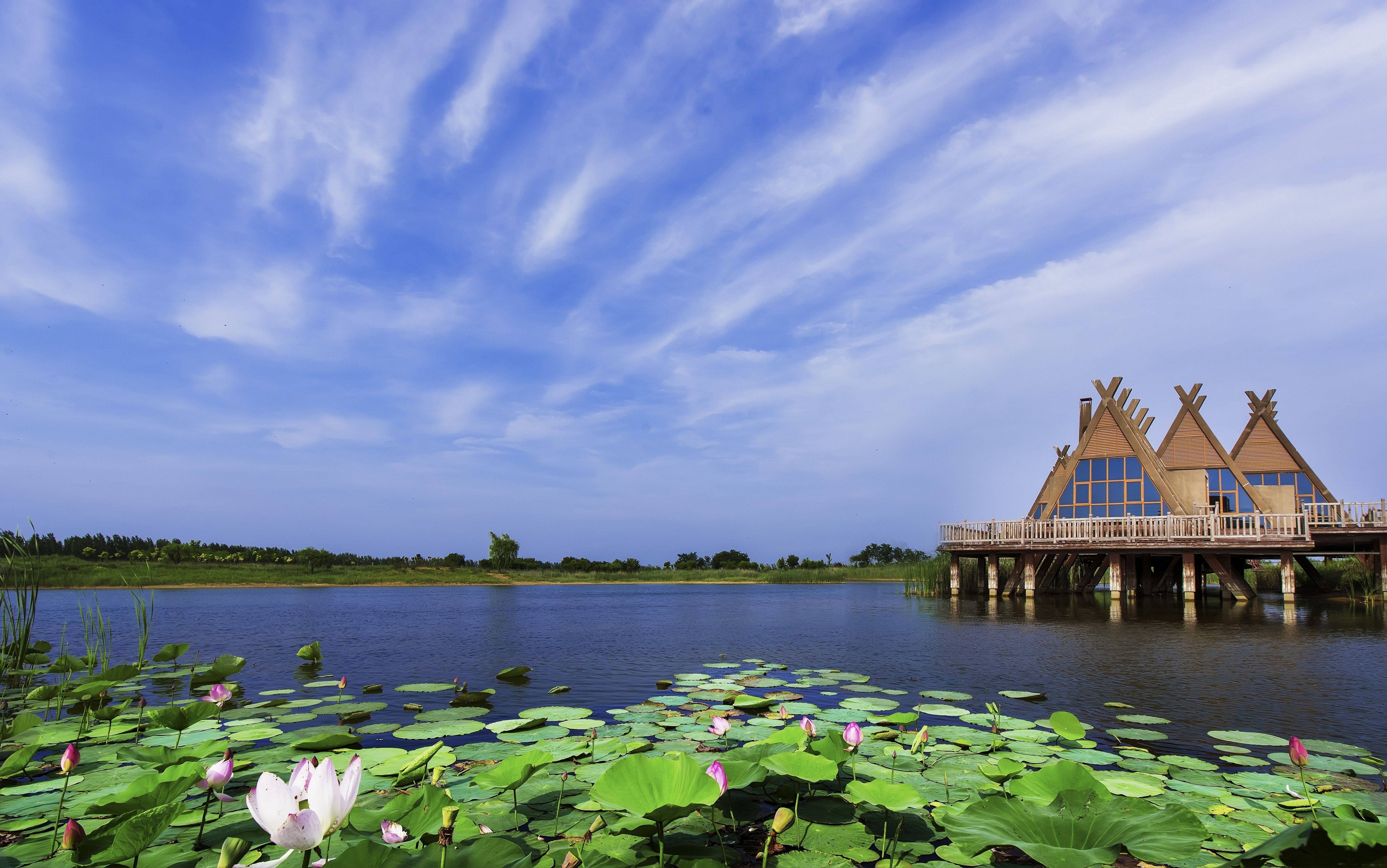 香港正版资料原版资料