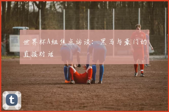 世界杯A组焦点访谈：黑马与豪门的直接对话