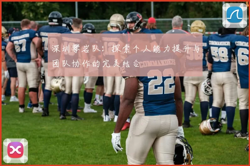 深圳攀岩队:探索个人能力提升与团队协作的完美结合