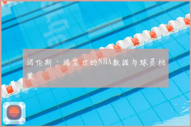 诺伦斯·诺艾尔的NBA数据与球员档案