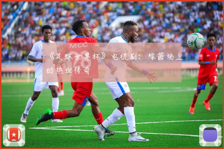 《足球世界杯》电视剧：绿茵场上的热血传奇