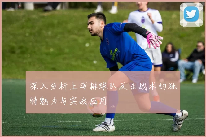 深入分析上海排球队反击战术的独特魅力与实战应用