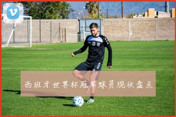西班牙世界杯冠军球员现状盘点