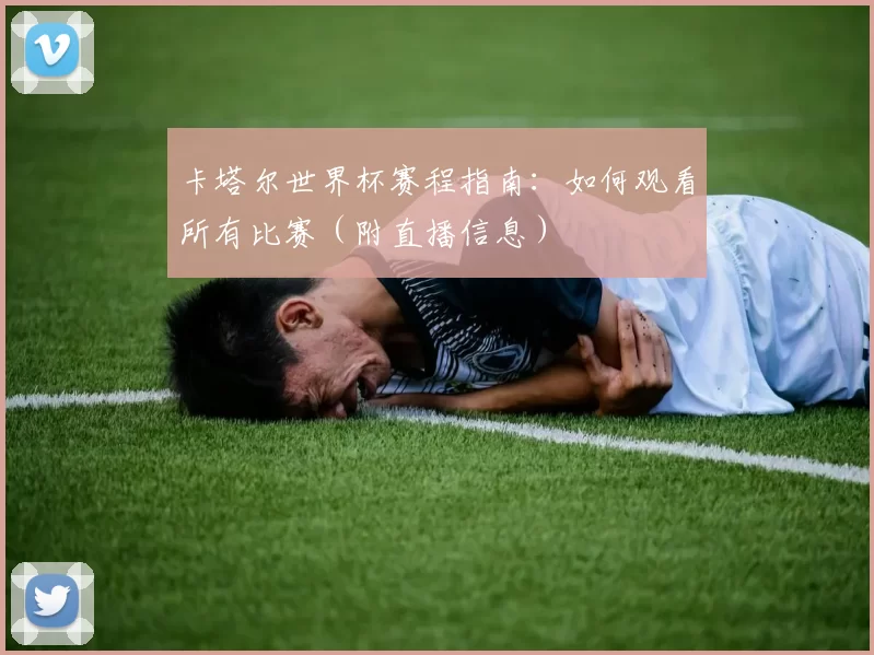 卡塔尔世界杯赛程指南：如何观看所有比赛（附直播信息）