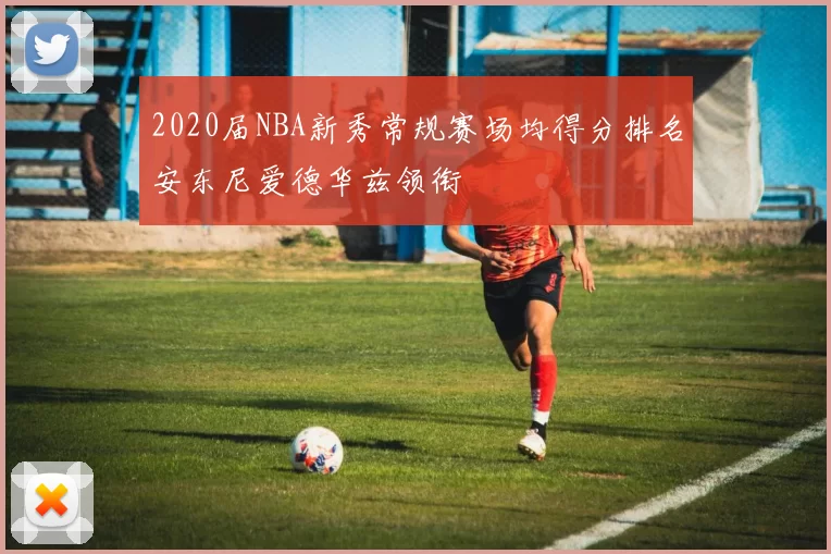 2020届NBA新秀常规赛场均得分排名安东尼爱德华兹领衔