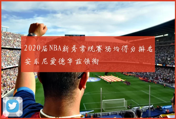 2020届NBA新秀常规赛场均得分排名安东尼爱德华兹领衔