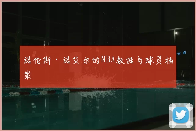 诺伦斯·诺艾尔的NBA数据与球员档案