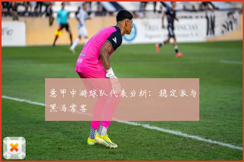 意甲中游球队代表分析：稳定派与黑马常客